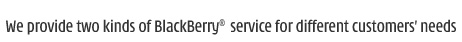 We provide two kinds of BlackBerry service for different customers' needs